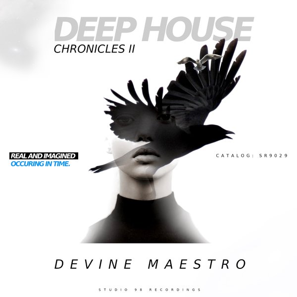 Devine Maestro - Deep House Chronicles II [SR9029]